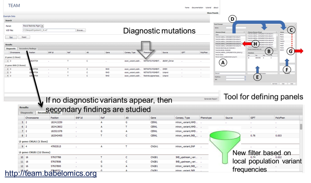 Interface of the application. Panels for defining targeted regions of interest can be set up by just drag and drop known disease genes or disease definitions from the lists. Thus, virtual panels can be interactively improved as the knowledge of the disease increases.