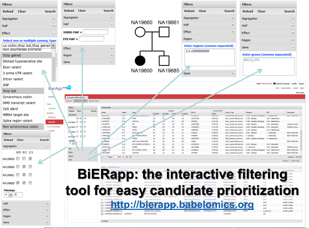 Web interface to the prioritization tool. This figure shows the interface of the web tool for candidate gene prioritization with the filters available. The tool includes a genomic viewer (Genome Maps 30) that enables the representation of the variants in the corresponding genomic coordinates.